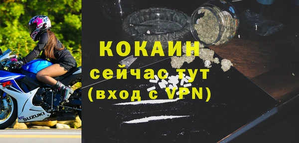 соль ск Туринск