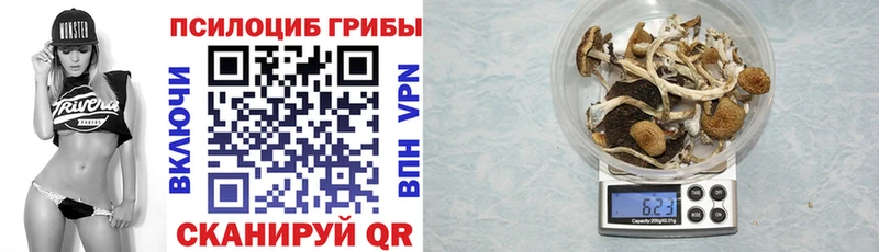 kraken ссылки  Комсомольск-на-Амуре  Псилоцибиновые грибы мухоморы 