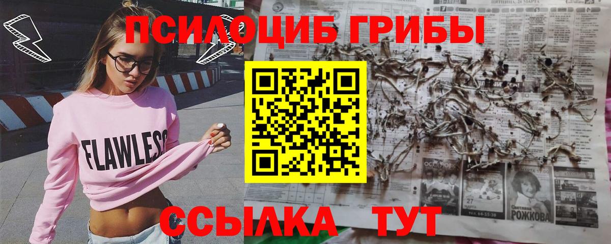 Псилоцибиновые грибы ЛСД Комсомольск-на-Амуре